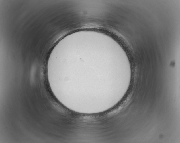 X0000116321401201001130954