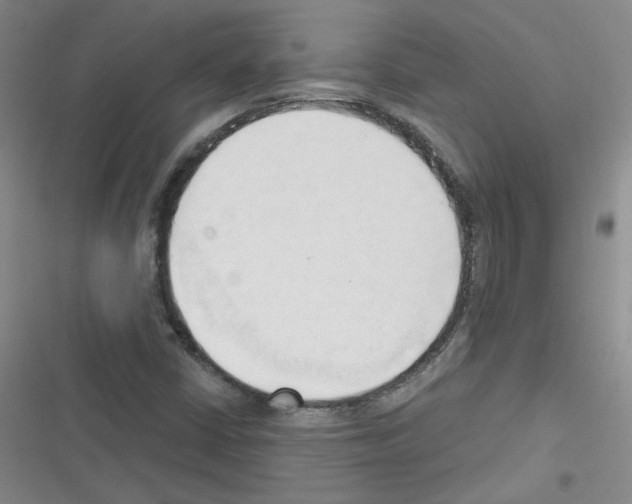 X0000116321402201001130954