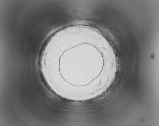 X0000116321404201001130954