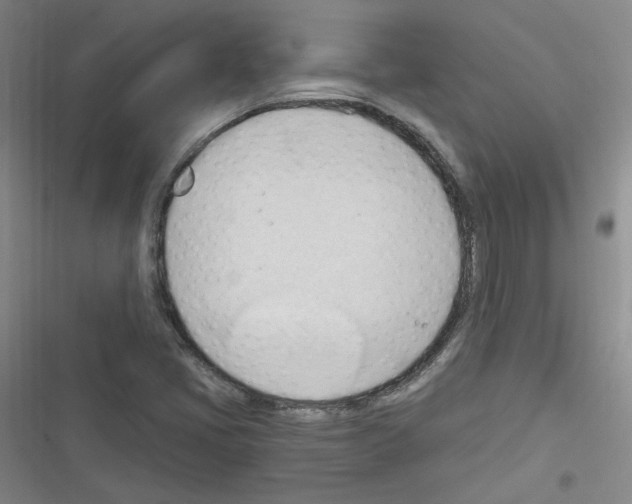 X0000116321405201001130954