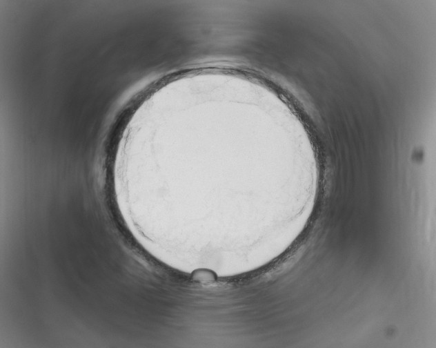 X0000116321406201001130954