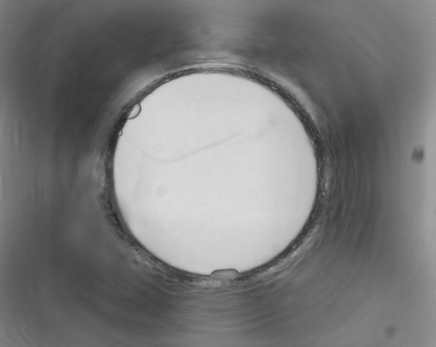 X0000116321407201001130954