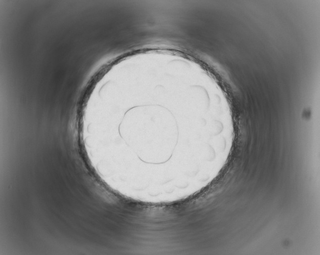 X0000116321408201001130954