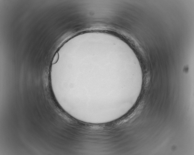 X0000116321409201001130954