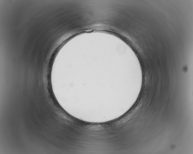 X0000116321410201001130954