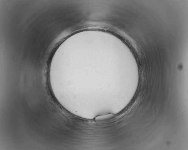 X0000116321411201001130954