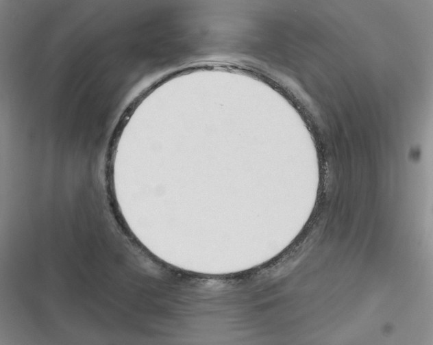 X0000116321412201001130954