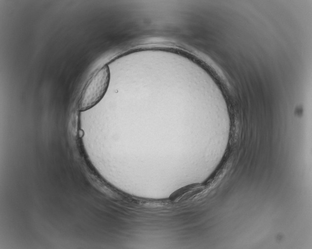 X0000116321413201001130954