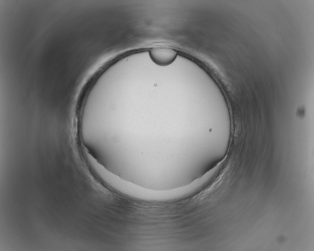 X0000116321414201001130954