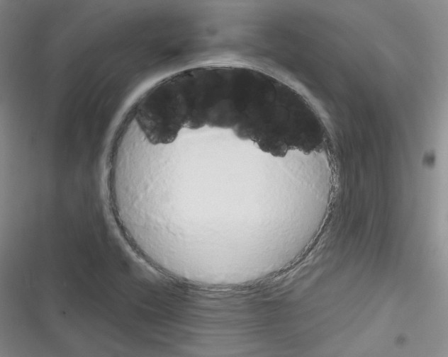 X0000116321416201001130954