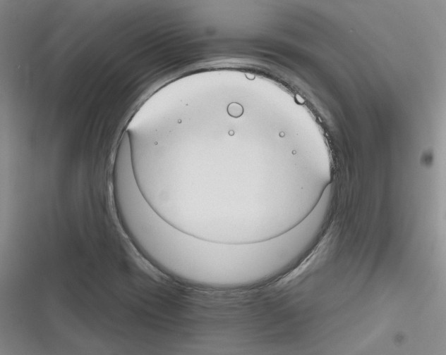 X0000116321417201001130954