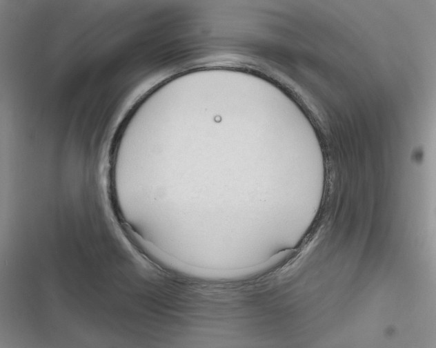 X0000116321418201001130954