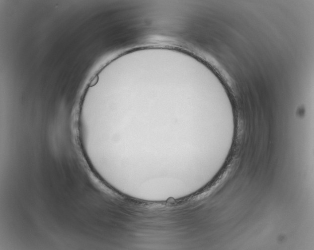 X0000116321421201001130954