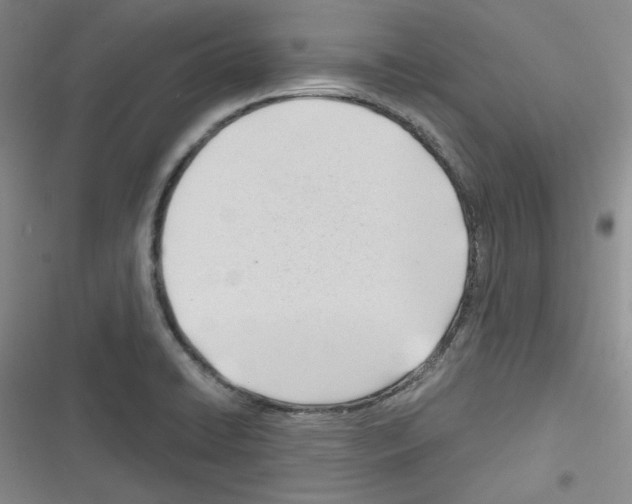 X0000116321422201001130954