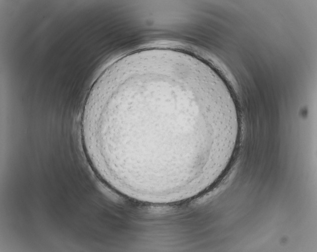 X0000116321425201001130954