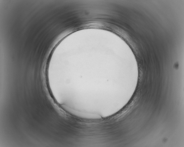 X0000116321426201001130954