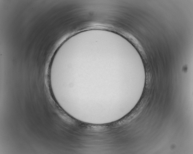 X0000116321427201001130954