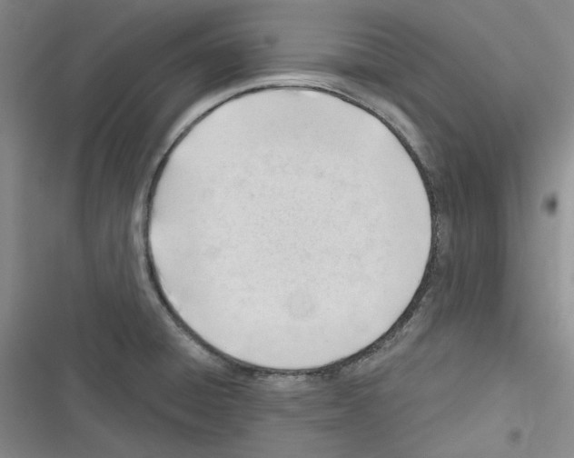 X0000116321428201001130954