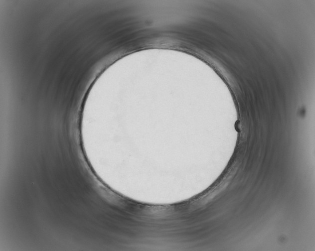 X0000116321434201001130954