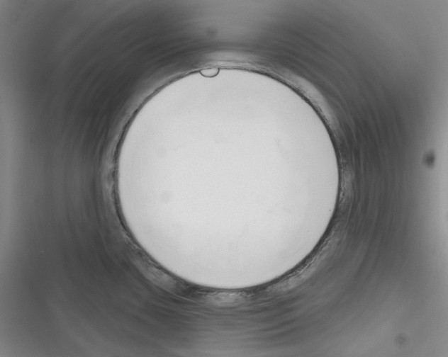 X0000116321435201001130954