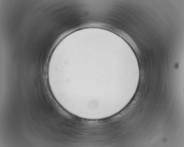 X0000116321436201001130954