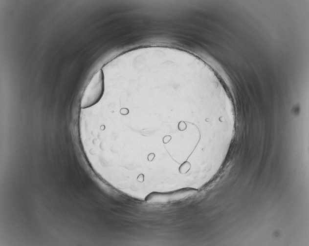 X0000116321437201001130954