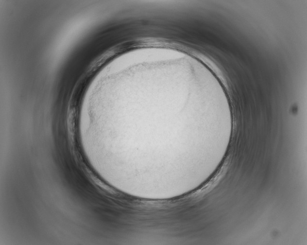 X0000116321438201001130954