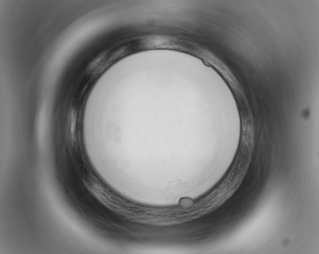 X0000116321439201001130954