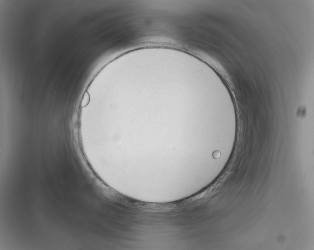 X0000116321440201001130954