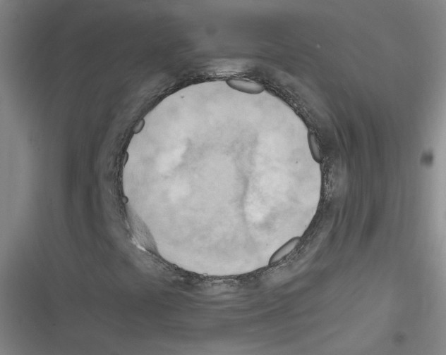 X0000116321441201001130953