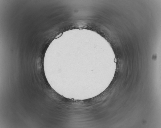 X0000116321442201001130953