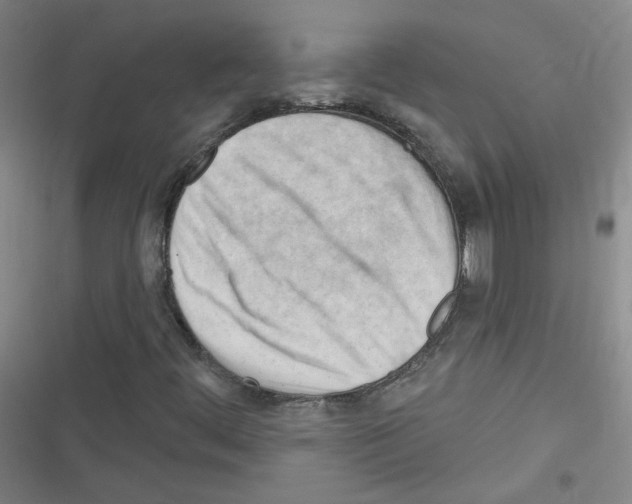 X0000116321444201001130953