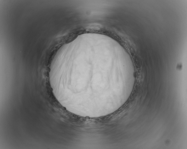 X0000116321445201001130953