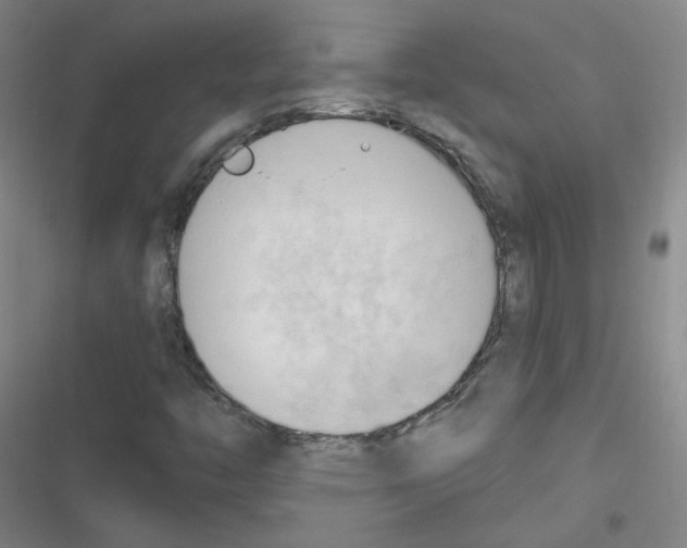 X0000116321446201001130953