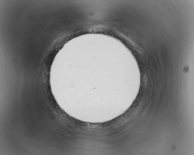 X0000116321447201001130953