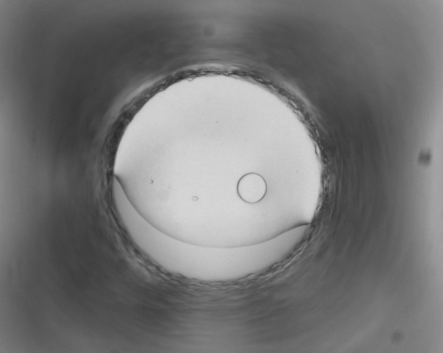 X0000116321448201001130953