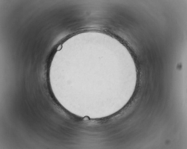 X0000116321450201001130953