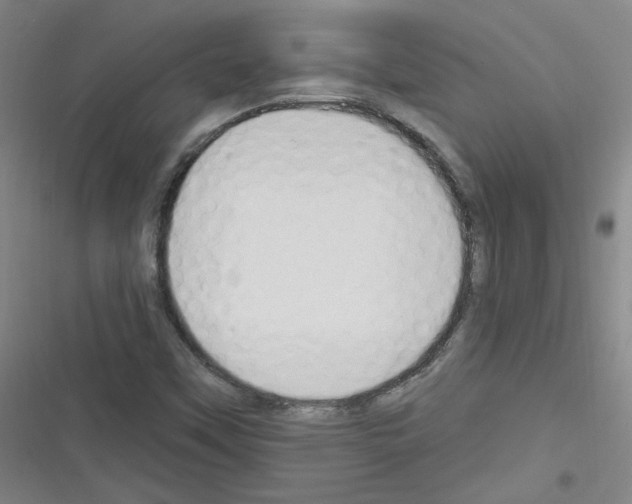 X0000116321451201001130953