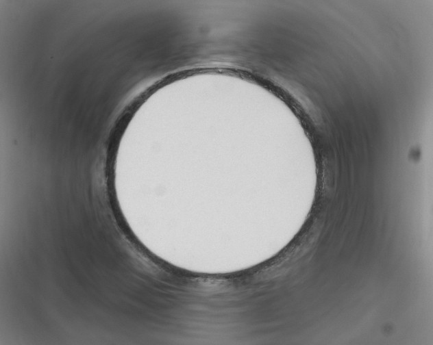 X0000116321452201001130953