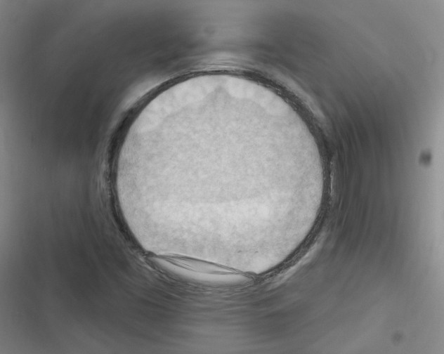 X0000116321453201001130953