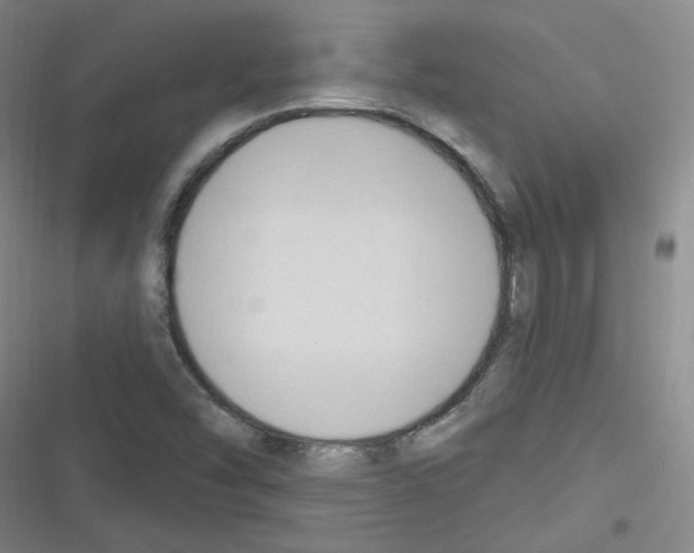 X0000116321454201001130953