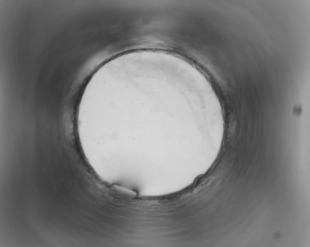 X0000116321455201001130953