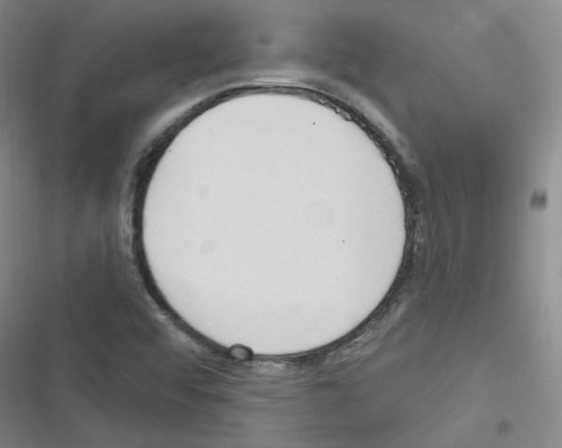 X0000116321456201001130953