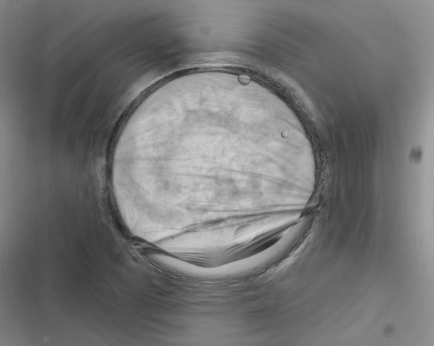 X0000116321457201001130953