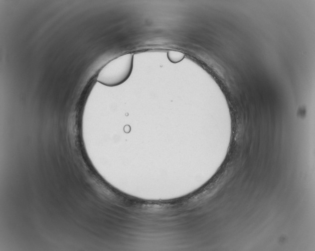 X0000116321458201001130953