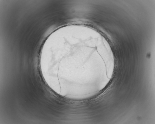 X0000116321459201001130953