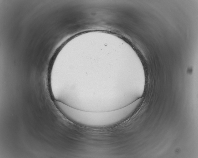 X0000116321460201001130953