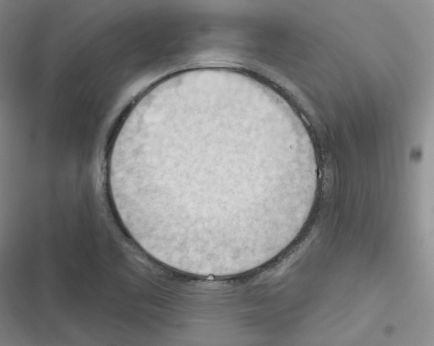 X0000116321461201001130953