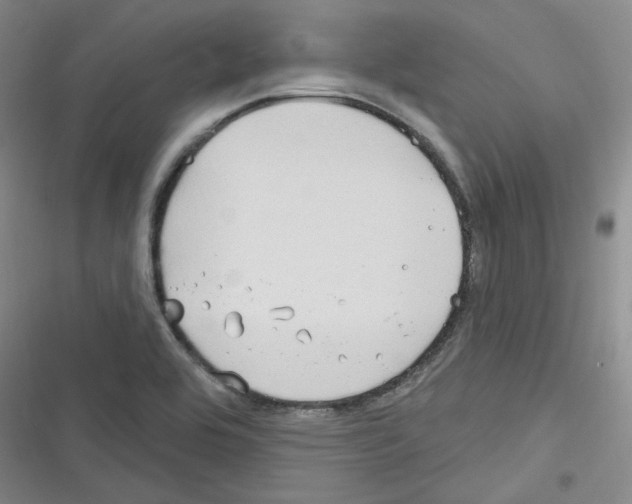 X0000116321464201001130953