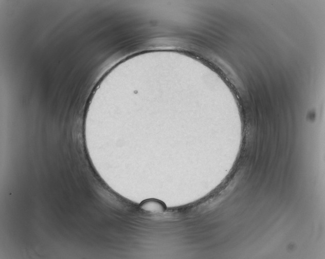 X0000116321465201001130953